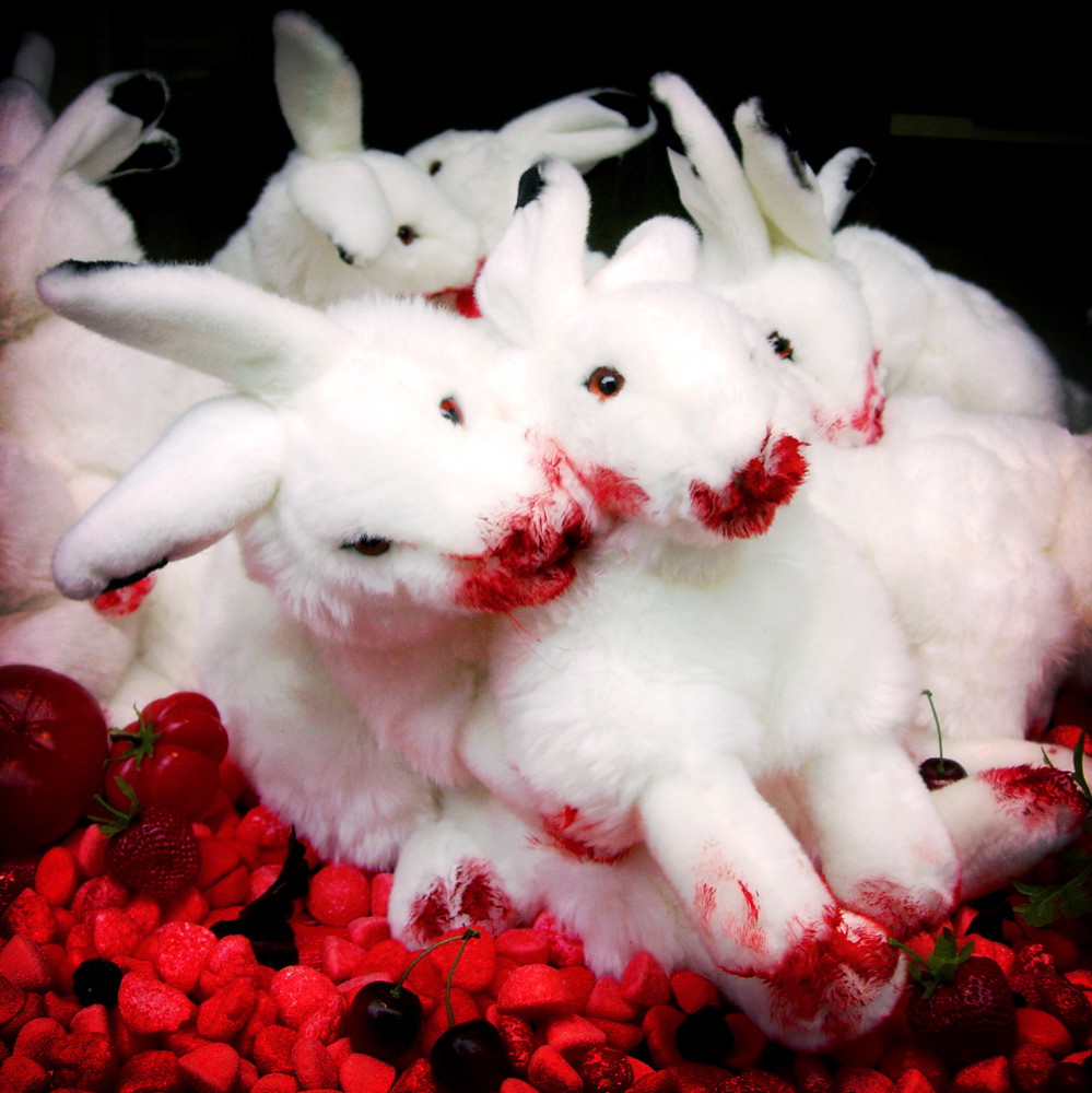 Kinky rabbit club