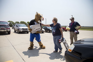 Bart the cougar on move in day