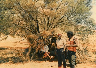 Hunting camp with wiltsja (hut) under a mulga tree