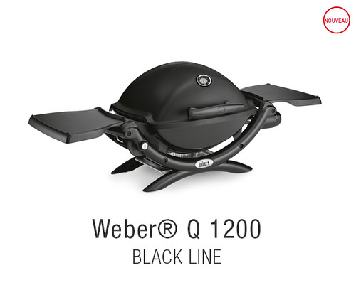 Weber q 1200