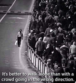 its-better-to-walk-alone-than-with-a-crowd-going-in-the-wrong-direction