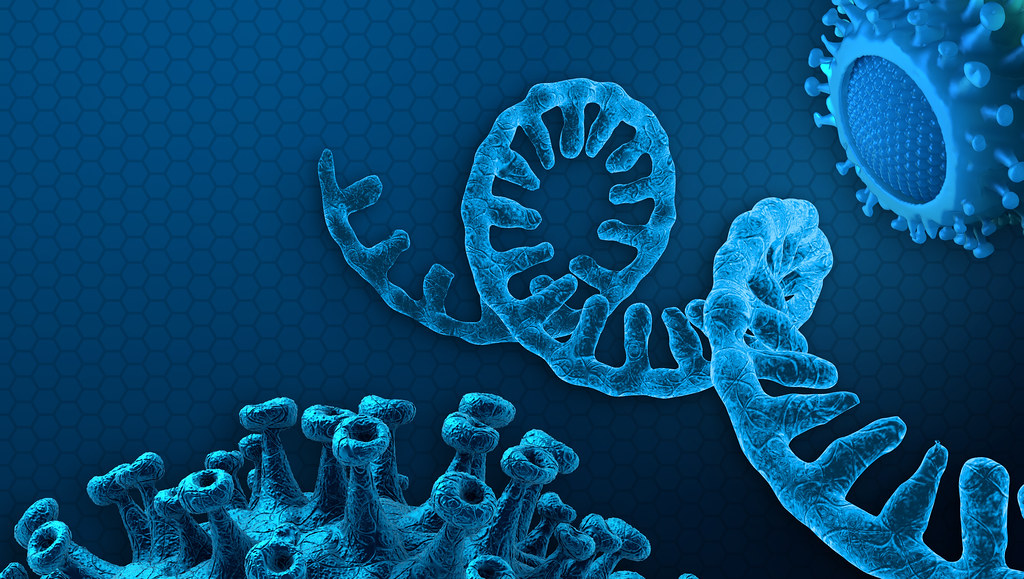 冠状病毒颗粒和RNA链的艺术表现