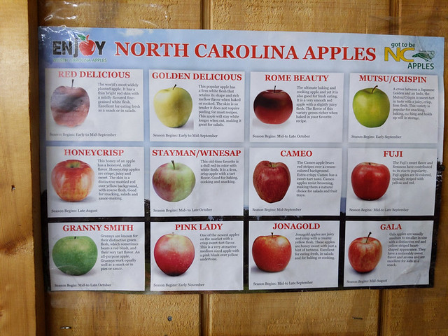 apple varieties @