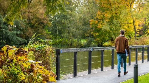 Student walking over an autumnal bridge