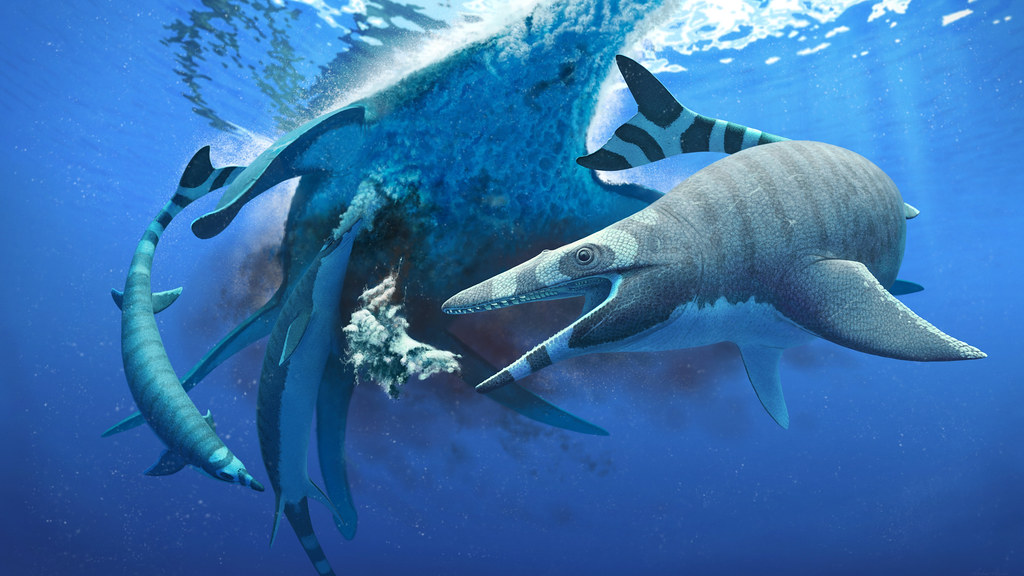 海洋爬行动物xenoden