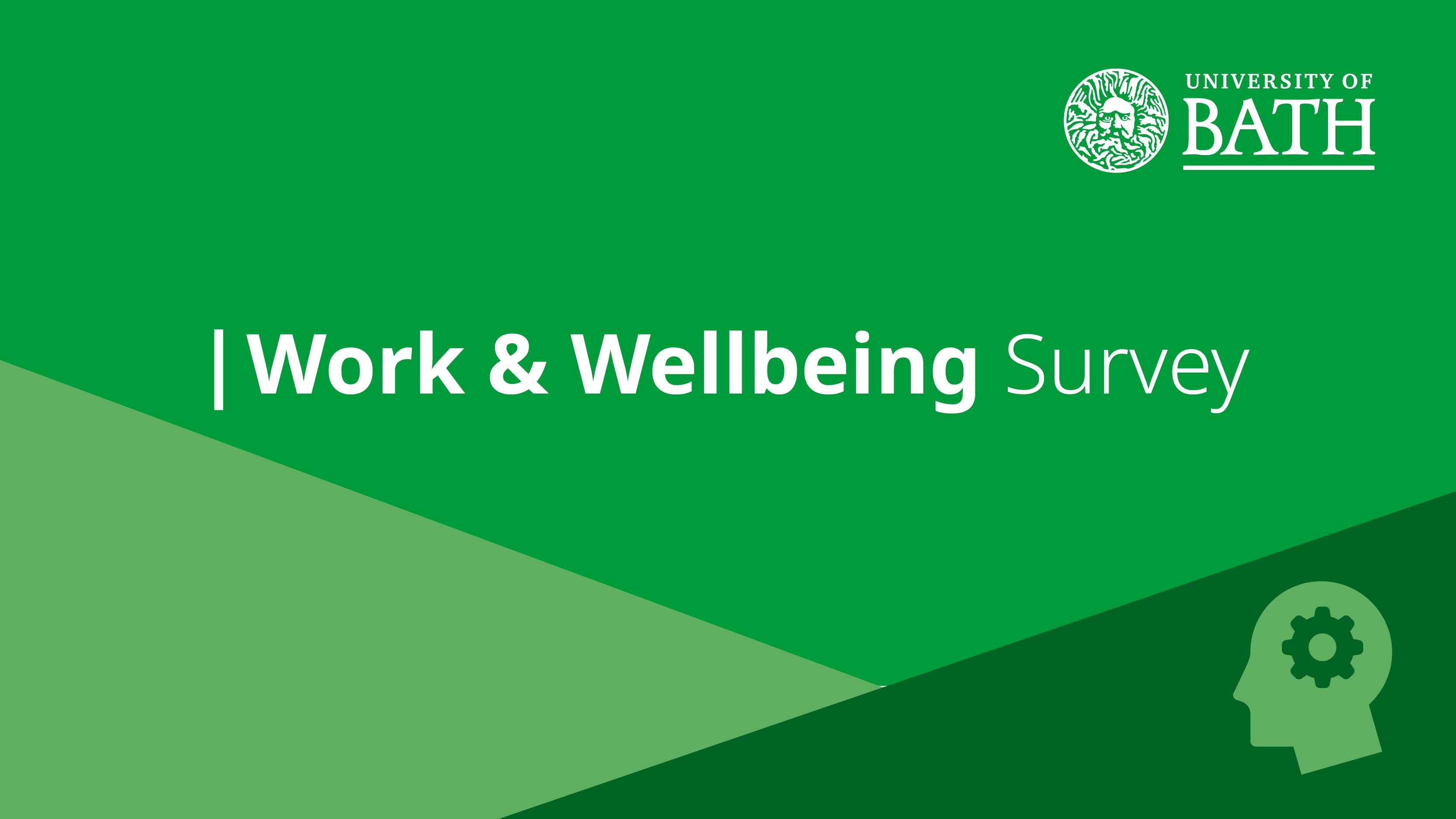 Work and Wellbeing survey logo