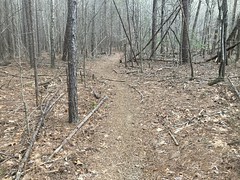 Lower Ward Gap Trail 
	