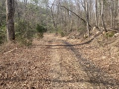 Old Roadbed 
	