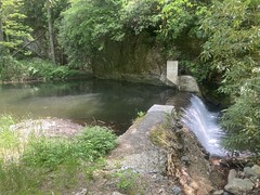 Reservoir on Bradley Creek 
	