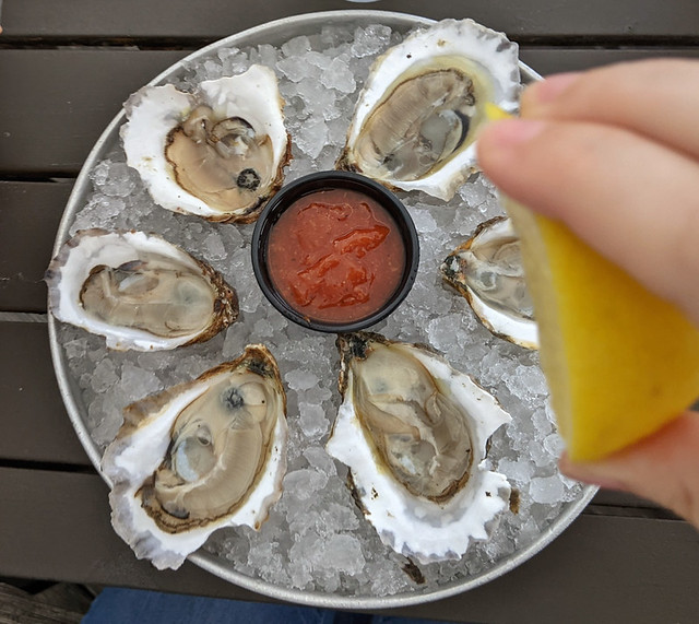 my first taste of oysters this summer