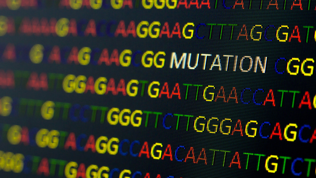 显示突变的DNA序列