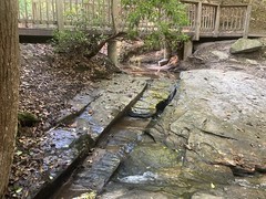 Creek Trickle Near Rock Overhang 
	