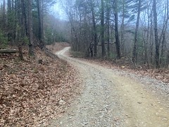 The Most Horrible Climb in the Chattahooche NF 
	