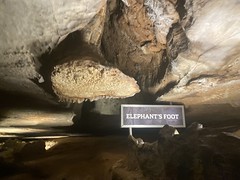 Elephant's Foot 
	