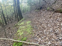 Clean Trail 
	
