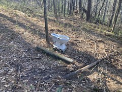 Another Toilet in the Woods 
	