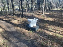 Toilet in the Woods 
	
