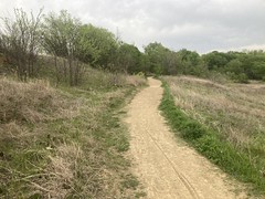 Trail Out in the Open 
	