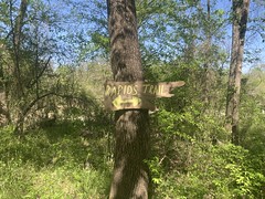Rapids Trail Sign 
	