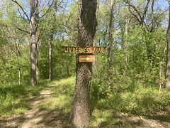 Wilderness Trail Sign 
	