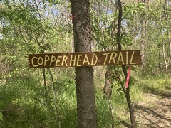 Copperhead Trail Sign 
	