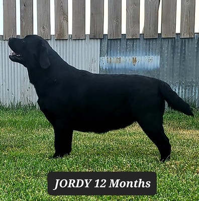 Jordy 1 year 2