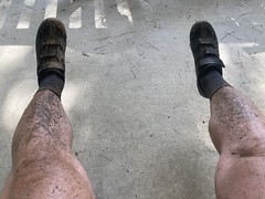 Dirty Legs 