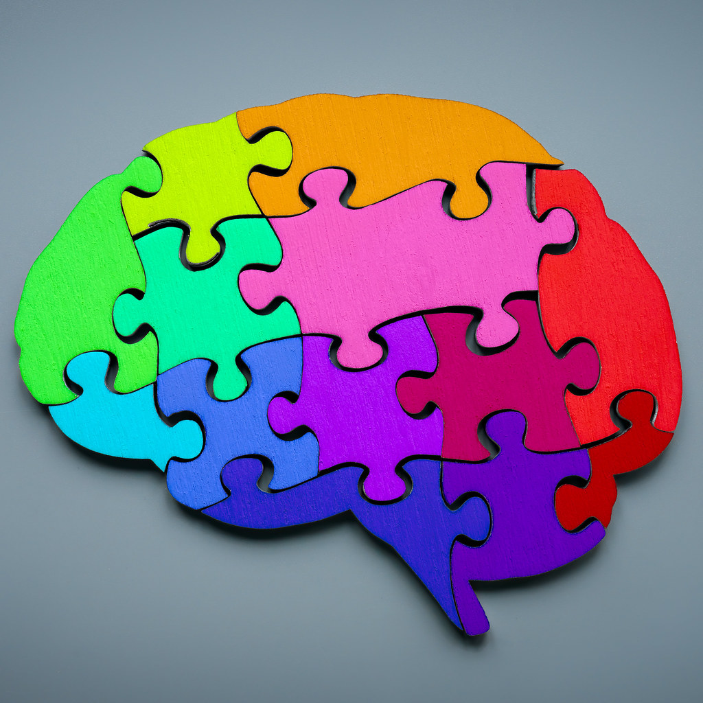 大脑形状的彩虹色块拼图-神经多样性概念.