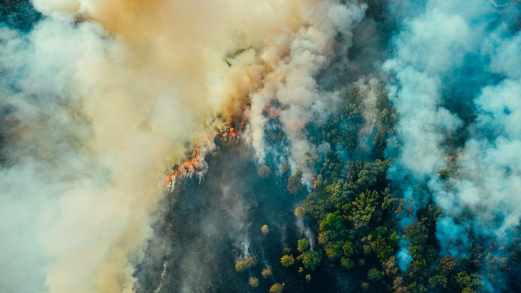 从上方拍摄的森林大火图像.