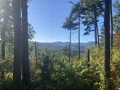 The Ridge from Jones Creek Trail 