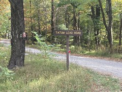 Tatum Lead Road 