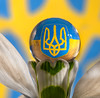 Devotion for Ukraine