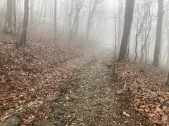 Old Road Up to Hawk Mountain 