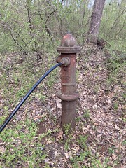 Old Hydrant 