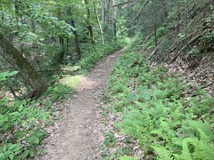 Bear Creek Trail 