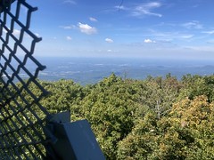 View from the Fire Tower 