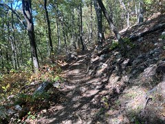 Rockier Trail 