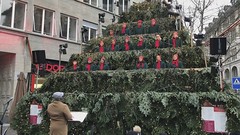 Singing Christmas Tree 2019