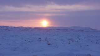Subarctic Sunset: Iqaluit