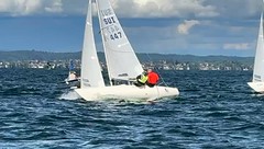 2025 Yngling & Piraten