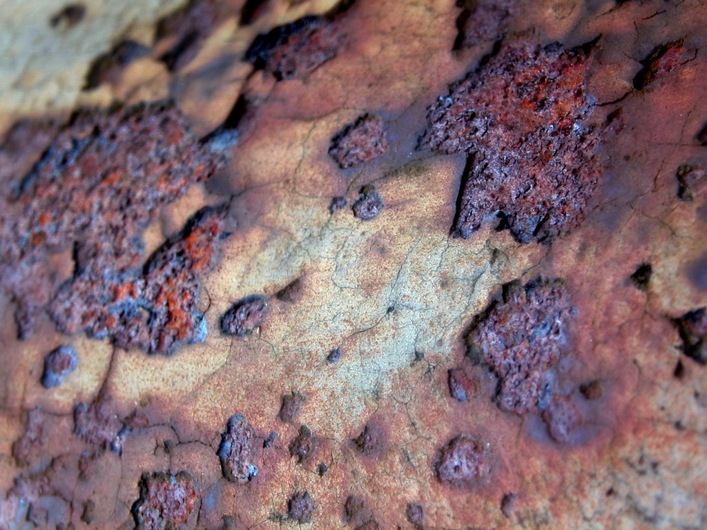rust-flake-macro | Théo | Flickr