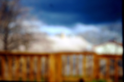 Backyard | by slowcomotive
