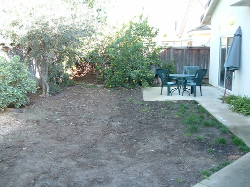 Backyard | by Jeff Hester