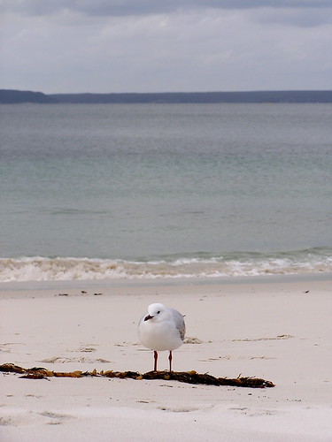 Camps Bay Beach