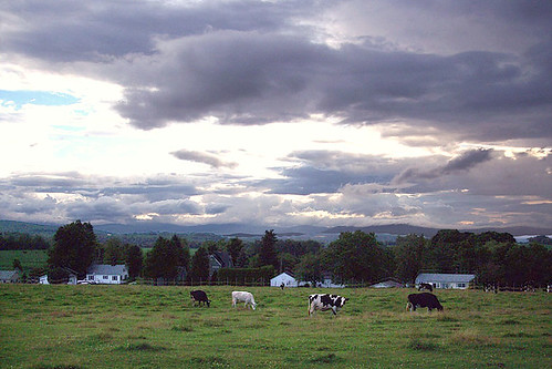 vermont sky clouds fields cows farm vacation