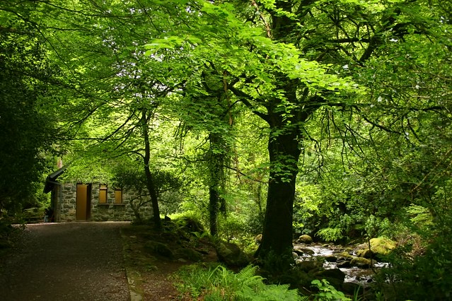 Killarney National Park - Ireland