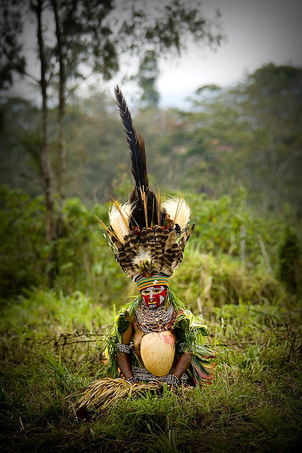 Papua New Guinea feathers headdress on a melpa woman, Mt Hagen sing sing