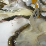 Fresh oyster / Jackpot, Shinjuku