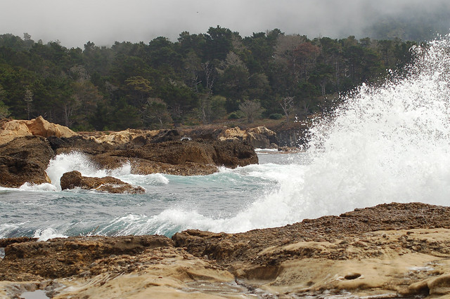 Crashing waves at Point Lobos