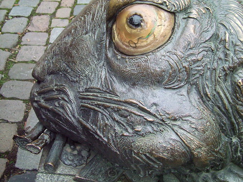 Odd rabbit sculpture | by kterkan